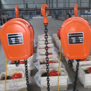 Wholesale Price China Electric Chain Hoist With Motorized Trolley - Electric chain hoist DHS – lihua