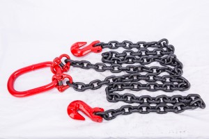 G80 chain rigging