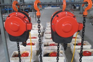 Dhs Type wire rope electric hoist