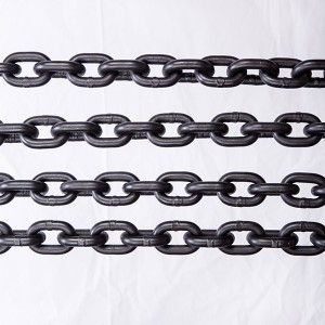 OEM Factory for G80 Load Chain - Polished G80 Lifting Chain – lihua